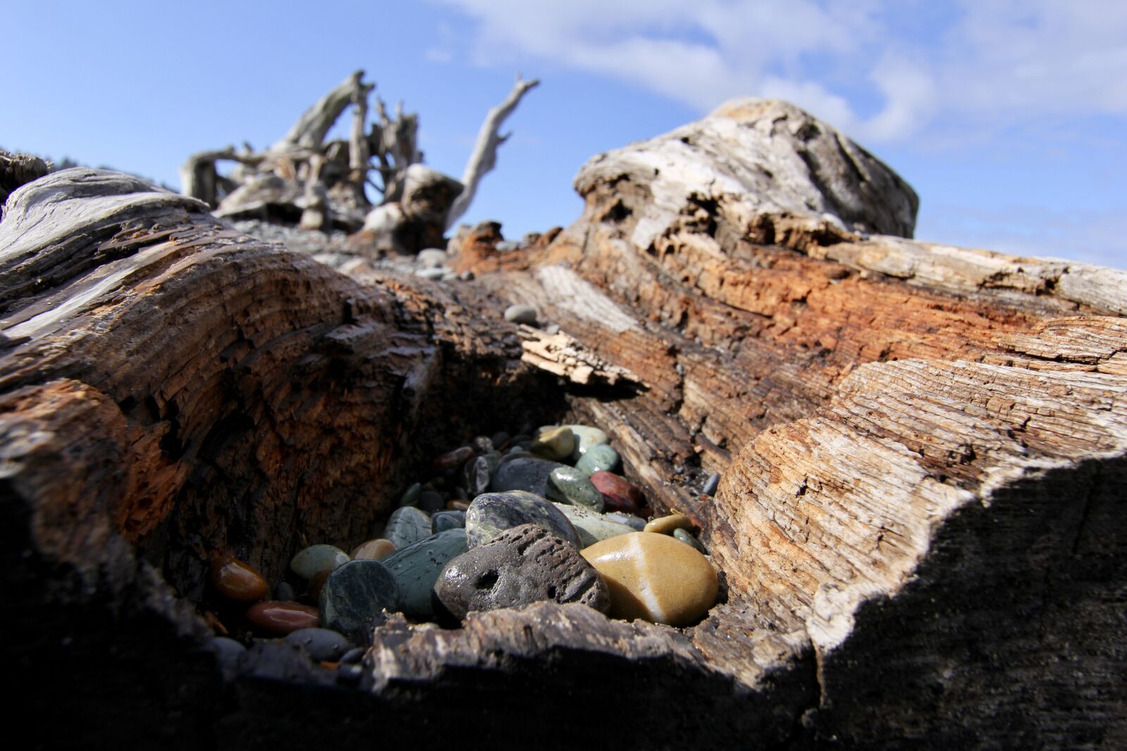 Canon EOS 60D sample photo. Rocks, driftwood, sky photography