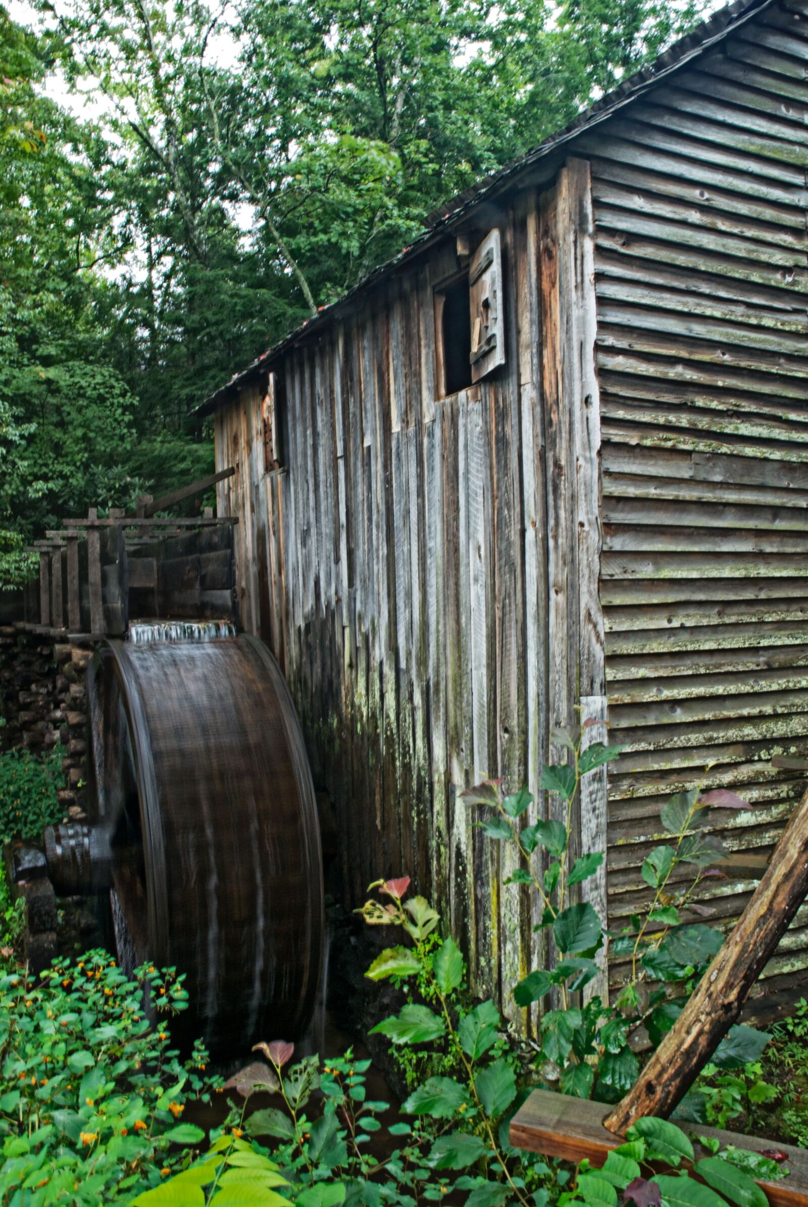 Nikon D80 sample photo. Mill, grist, cabin photography