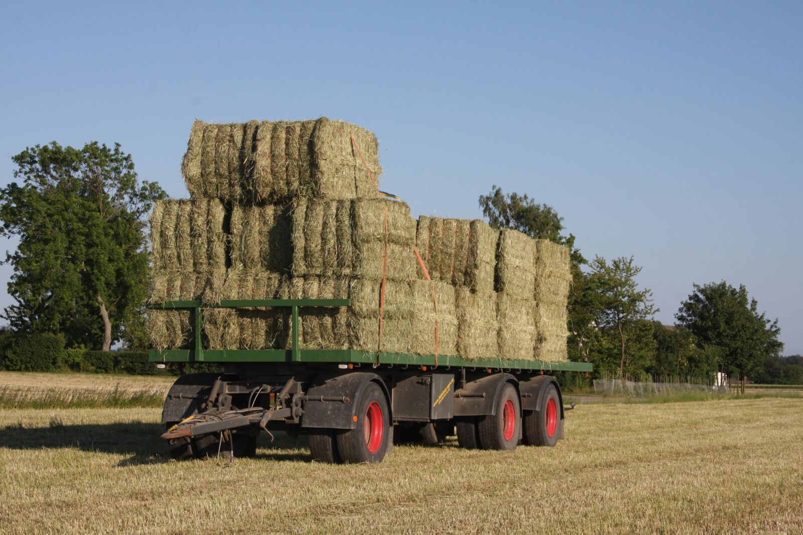 Canon EOS 40D sample photo. Hay, feed, agricultural photography