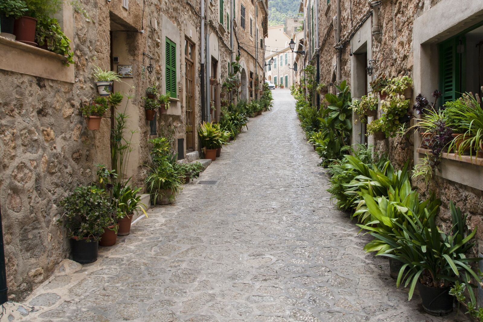 Canon EOS 400D (EOS Digital Rebel XTi / EOS Kiss Digital X) sample photo. Valldemossa, mallorca, bike photography