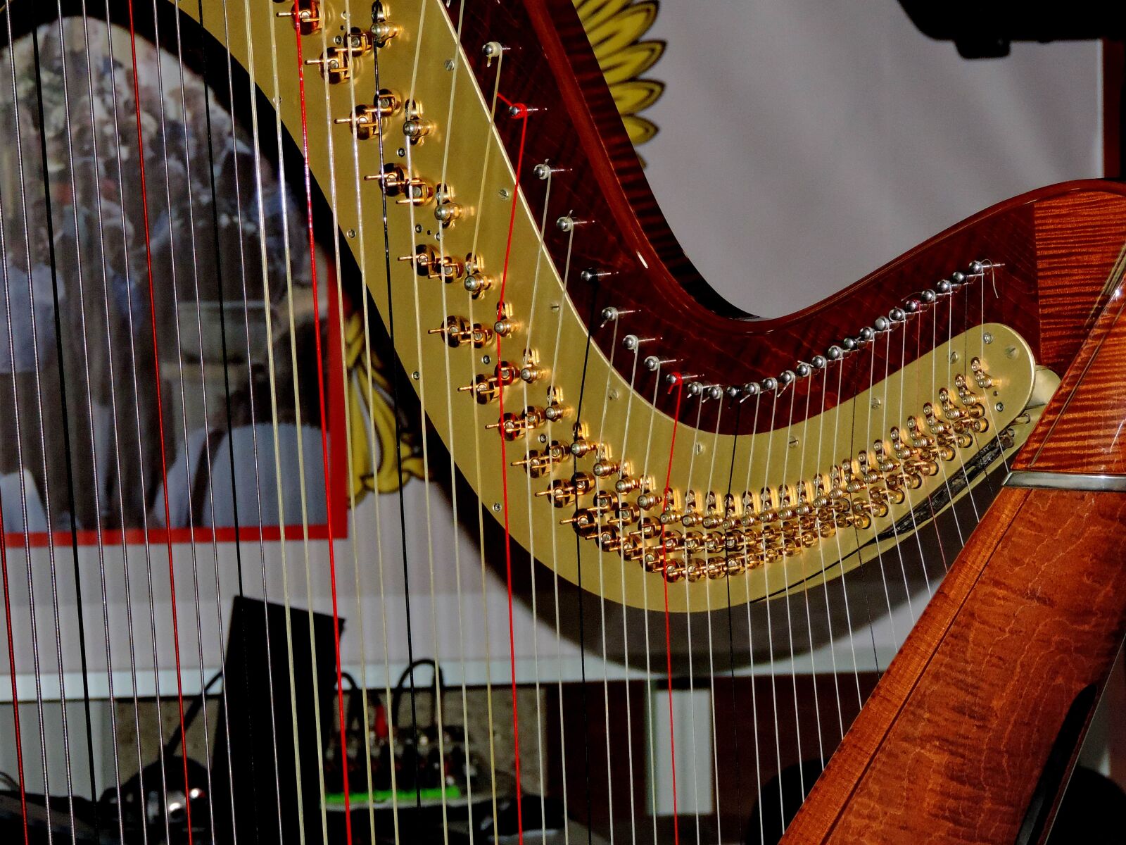 Nikon Coolpix P520 sample photo. Music, instrument, device, sound photography