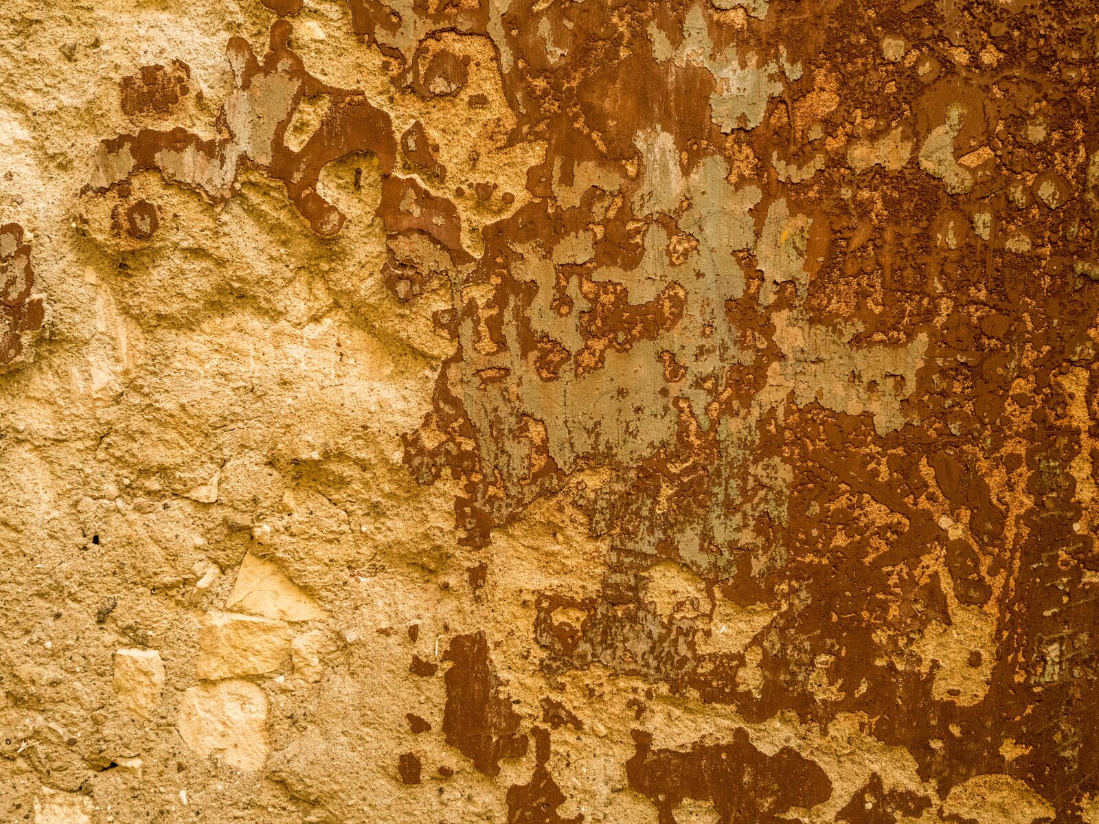 Olympus OM-D E-M5 II + Olympus M.Zuiko Digital 17mm F1.8 sample photo. Texture, background, walls photography