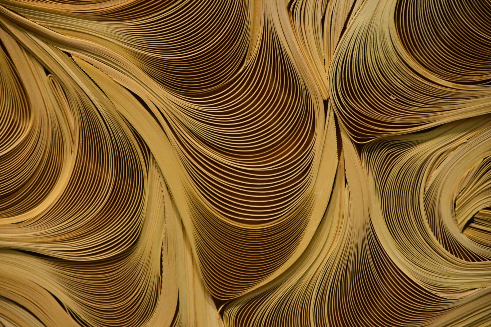 Nikon D7200 sample photo. Paper, art, background photography