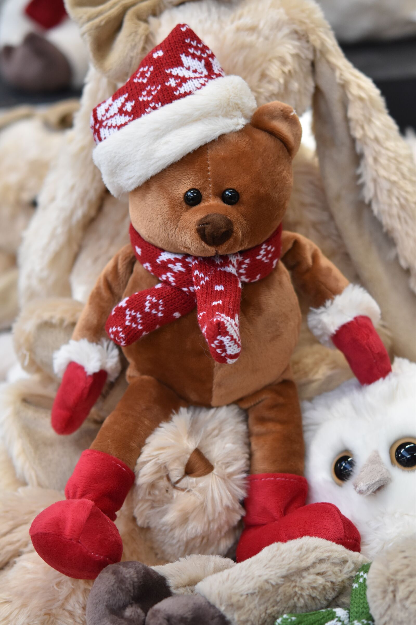 Nikon D5600 sample photo. Bear plush, teddy bear photography