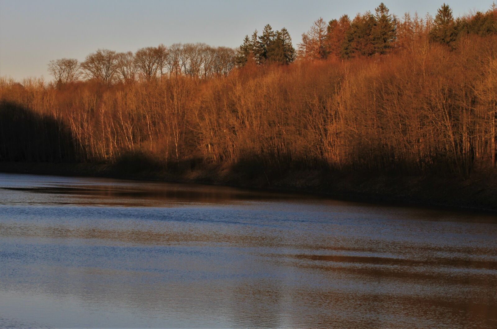 Canon EOS 7D sample photo. Water, forest, reservoir photography