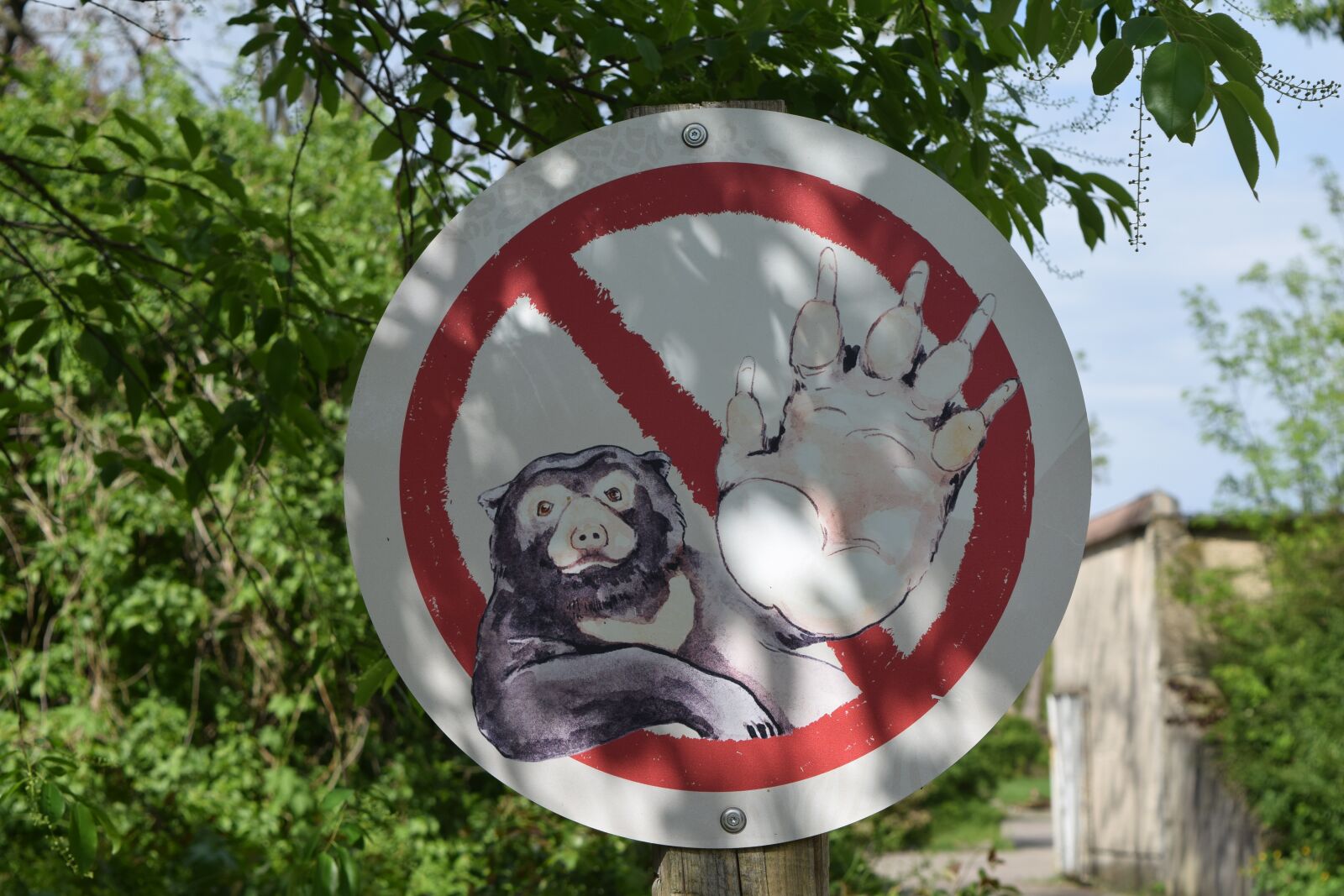 Nikon D3300 sample photo. Stop, stop sign, shield photography