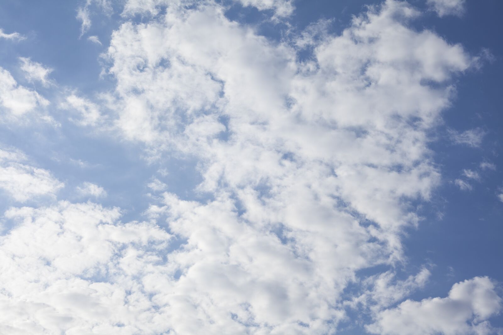 Canon EOS 5D Mark II sample photo. Blue, sky, air photography