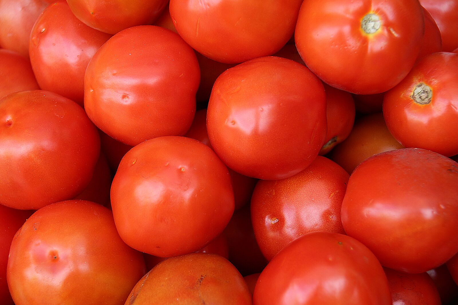 Canon EOS 700D (EOS Rebel T5i / EOS Kiss X7i) sample photo. Tomatoes, vegetable, greens photography