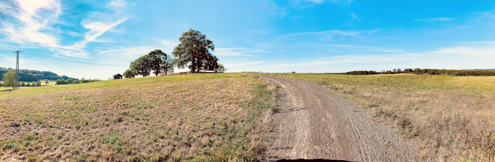iPhone XR back camera 4.25mm f/1.8 sample photo. Panorama, hot trees, rhine-lahn photography