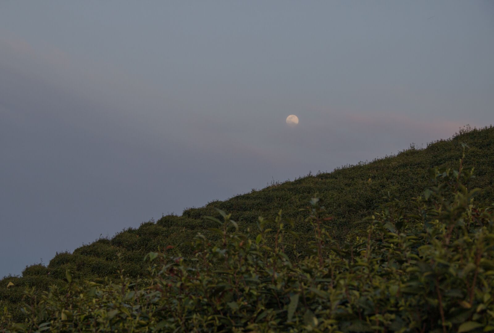 Canon EOS 600D (Rebel EOS T3i / EOS Kiss X5) sample photo. Xinyang, west jiuhua mountain photography
