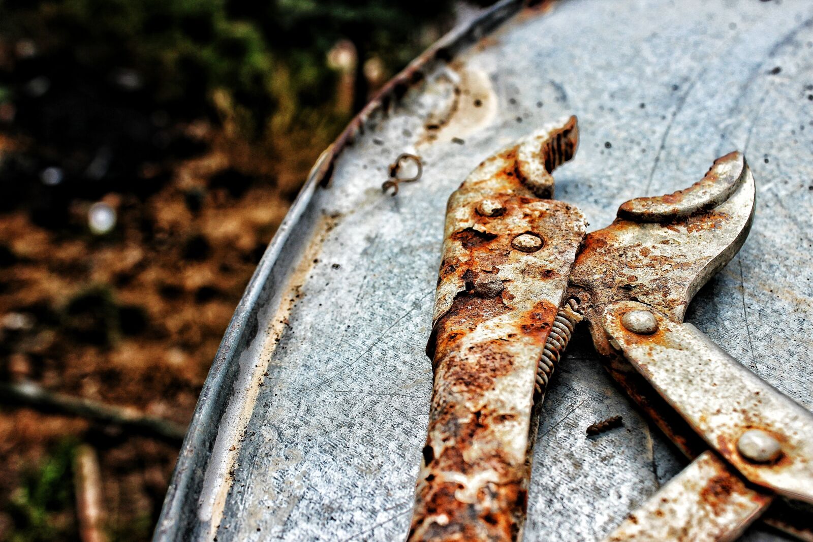 Canon EF-S 18-55mm F3.5-5.6 III sample photo. Pliers, rusted, tool photography