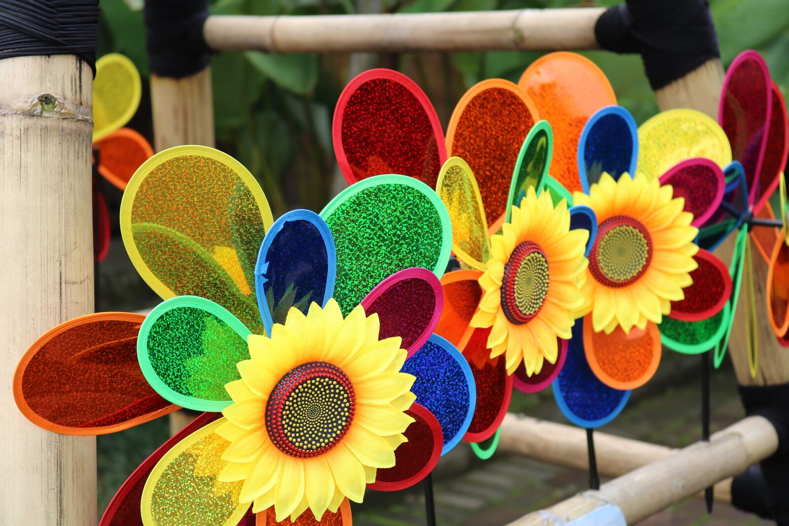 Canon EOS 750D (EOS Rebel T6i / EOS Kiss X8i) sample photo. Flower, color, decoration photography
