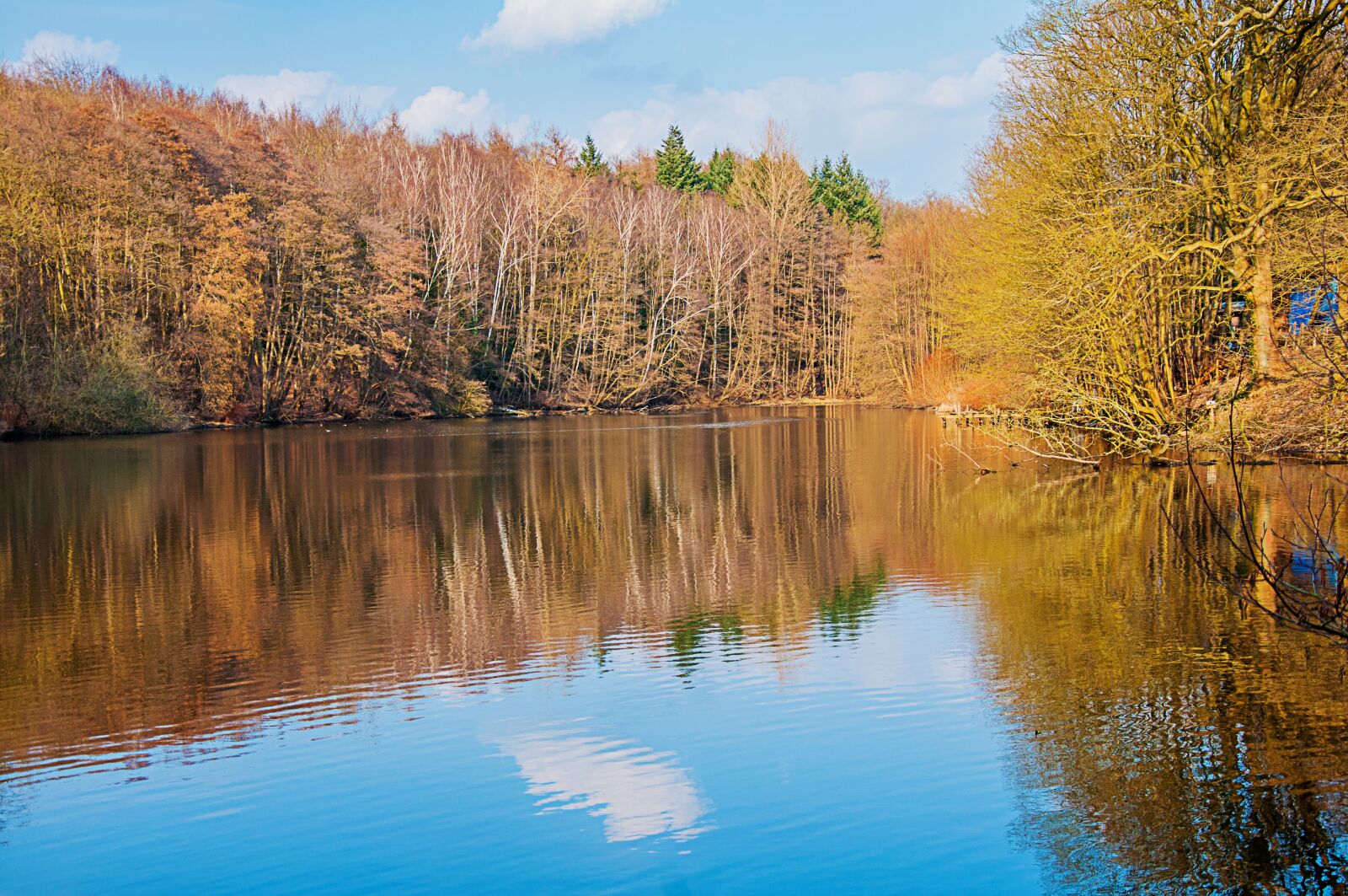 Nikon D90 sample photo. Nature, lake, landscape photography