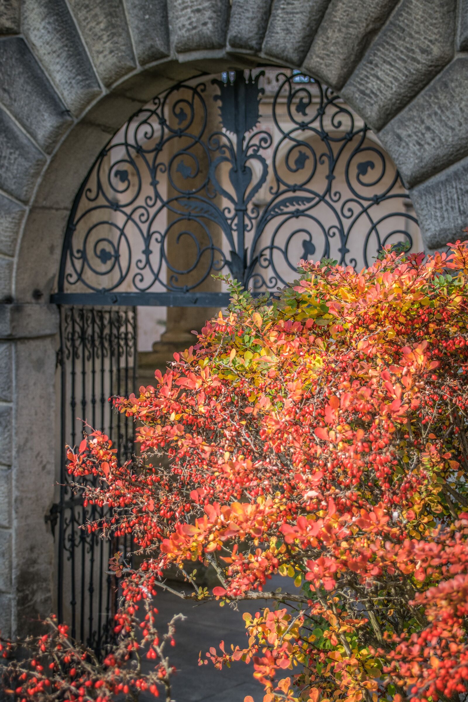 Nikon D5300 sample photo. Gate, grid, castle photography
