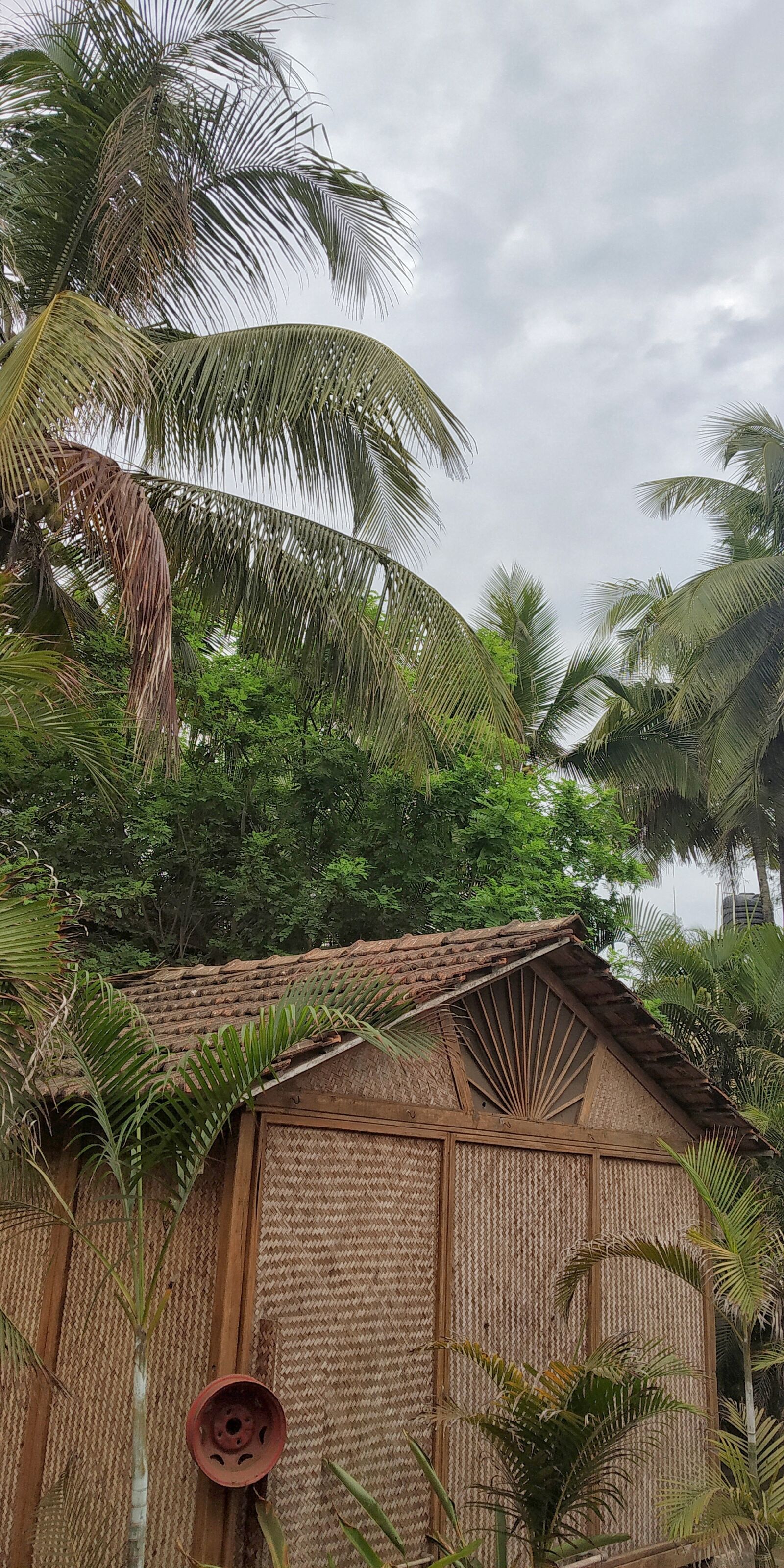 Xiaomi Redmi Note 5 Pro sample photo. Beach house, hunt, coconut photography