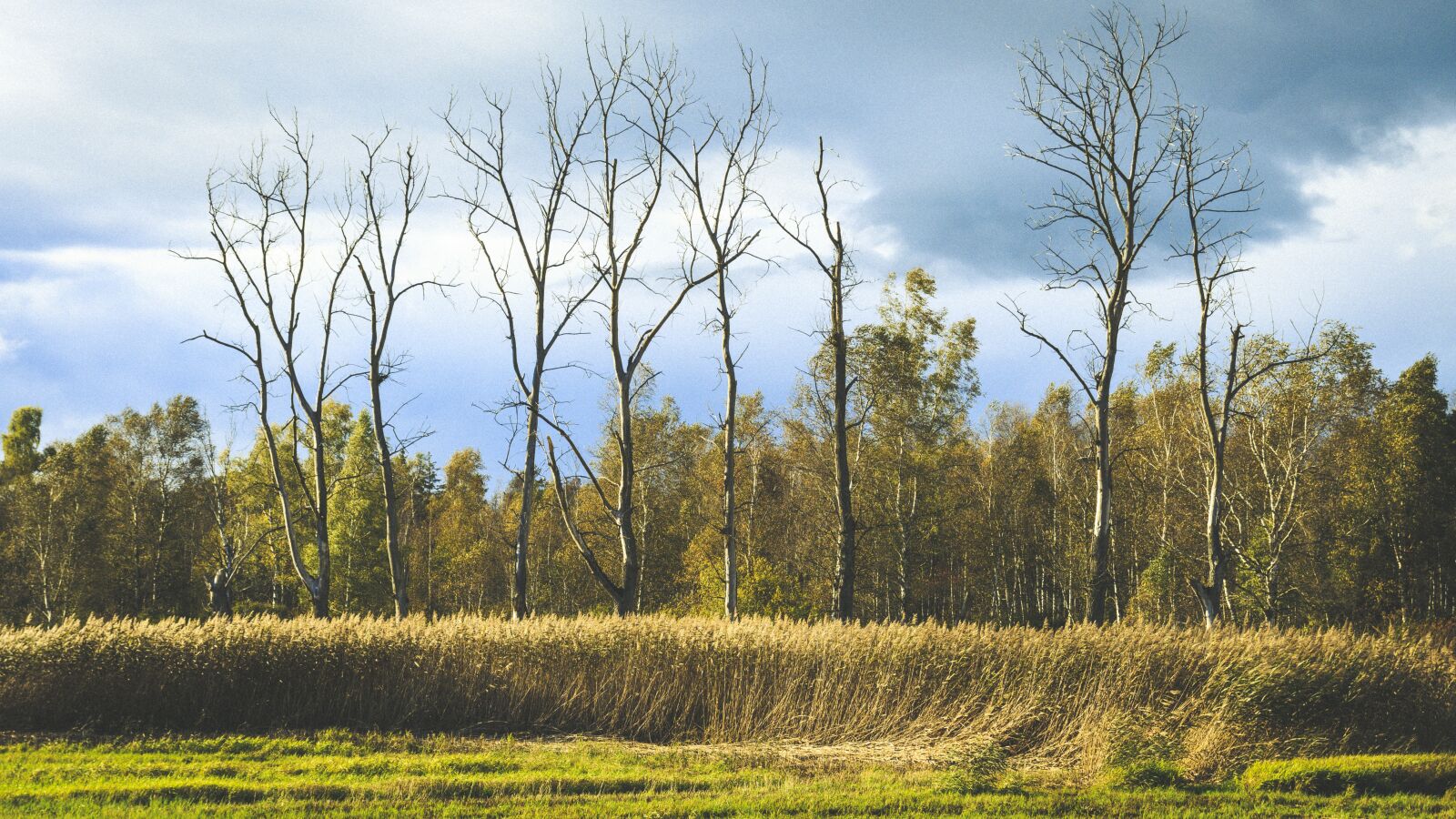 Canon EOS 650D (EOS Rebel T4i / EOS Kiss X6i) sample photo. Spring lake, bad buchau photography