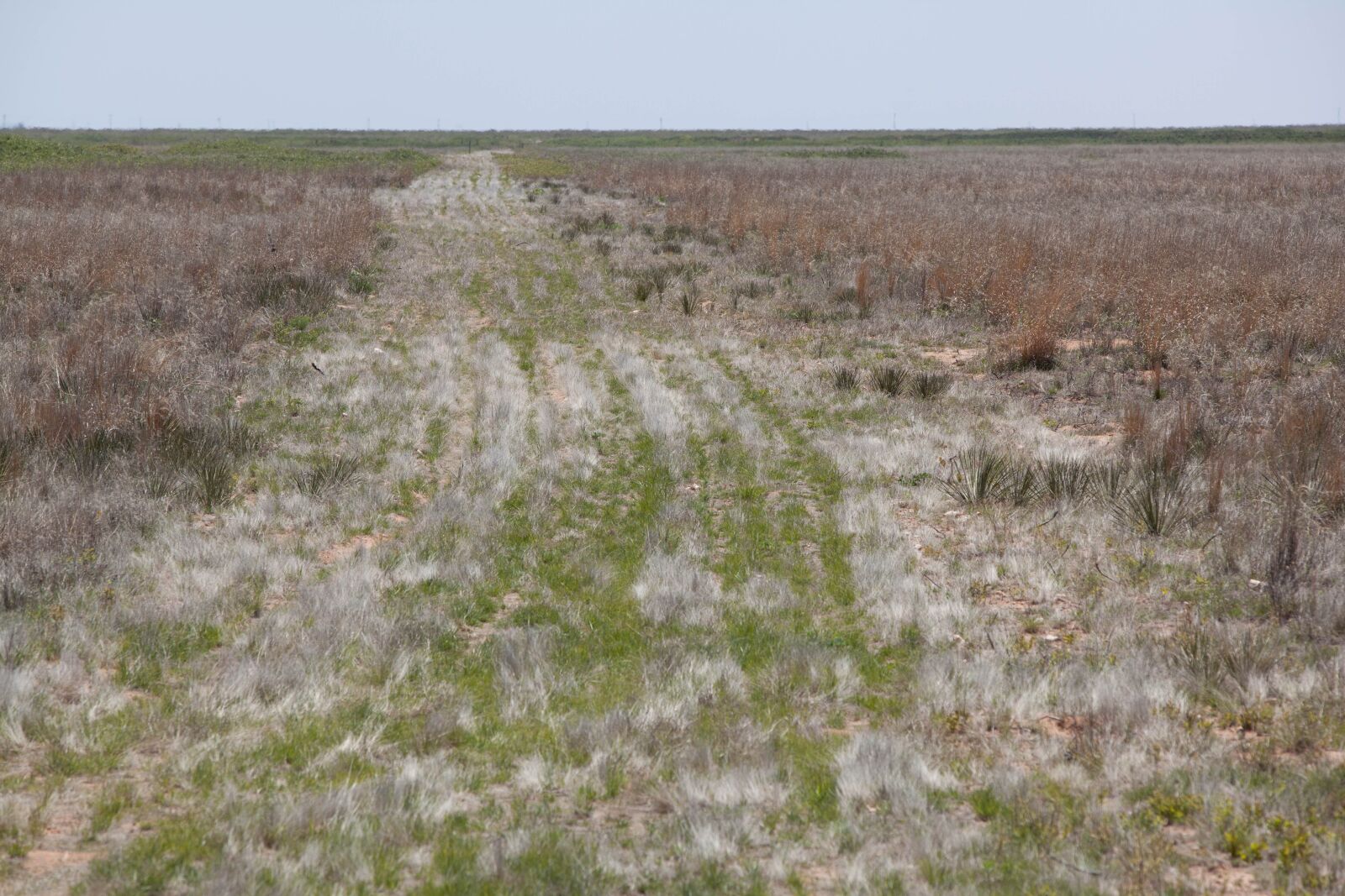 Canon EOS 5D Mark II sample photo. Range, land, roads, desert photography