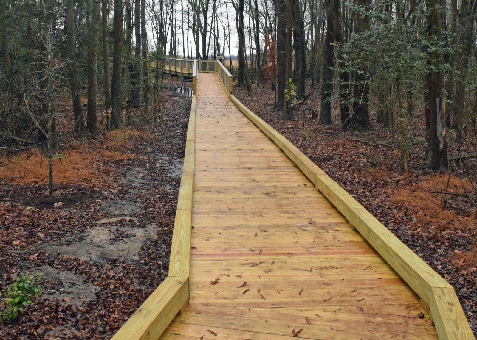 Nikon D3300 sample photo. Walkway, outdoor, wood photography