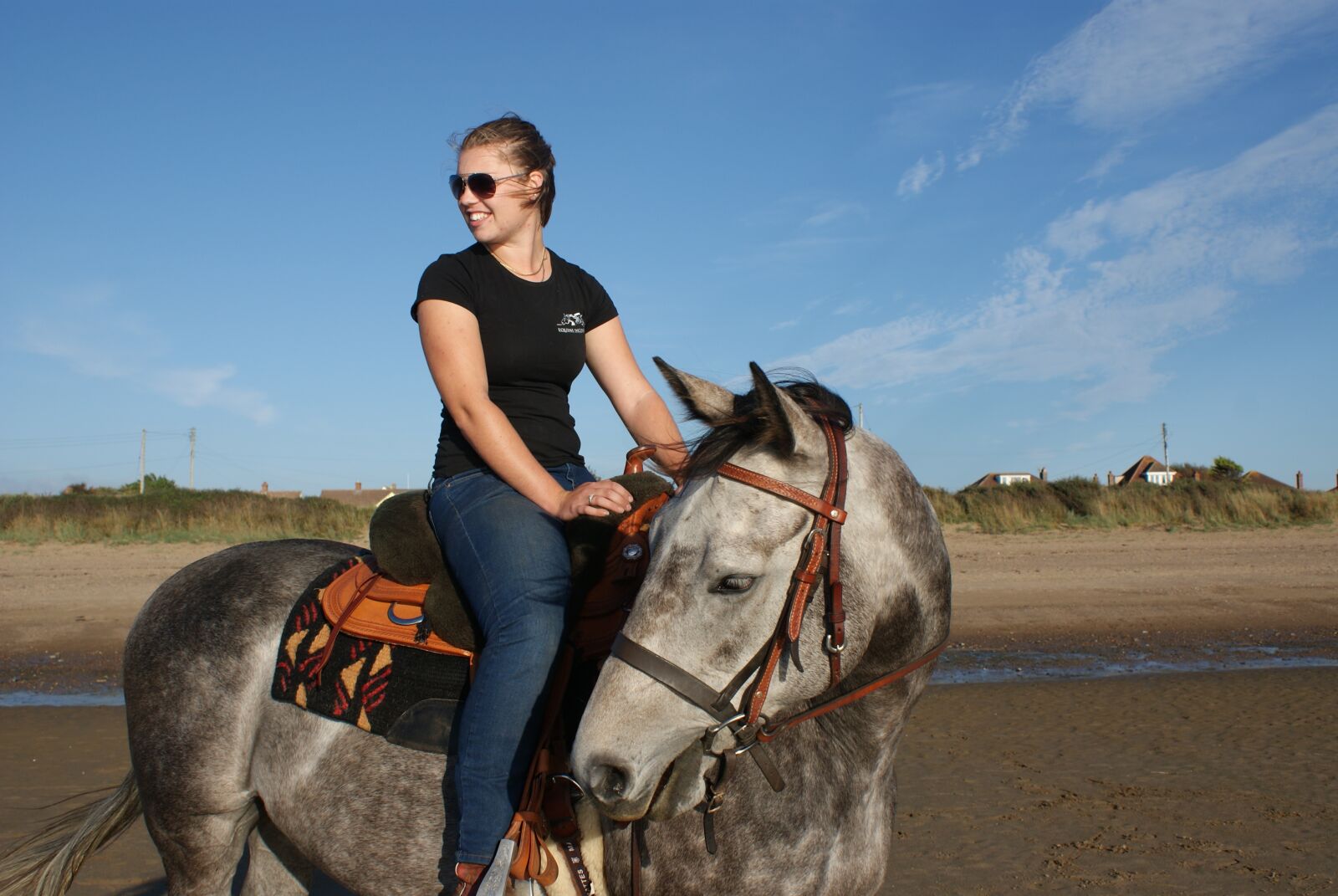 Sony Alpha DSLR-A200 sample photo. Beach, equine, sunny photography
