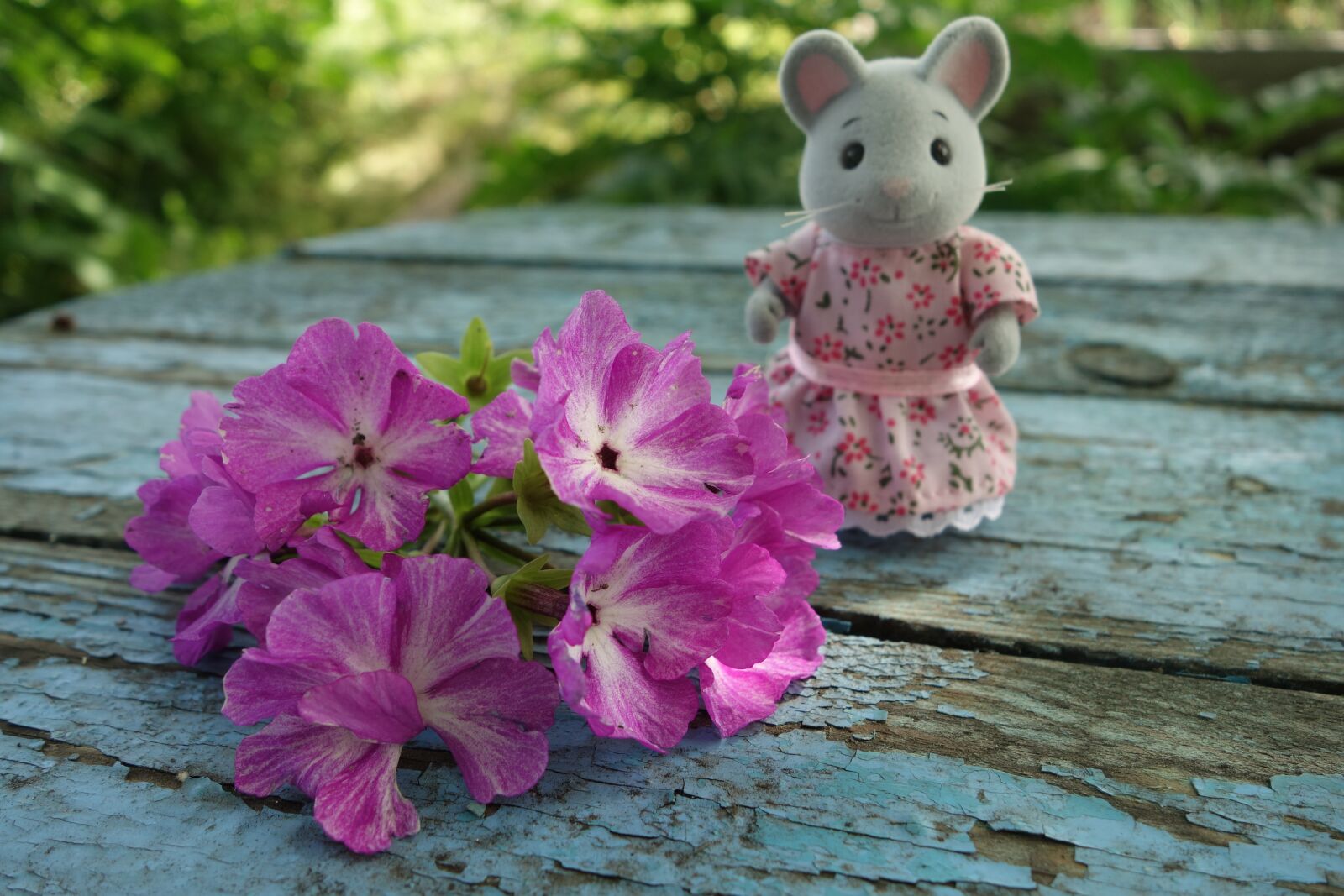 Sony Cyber-shot DSC-RX100 II sample photo. Flowers, mouse, toy photography