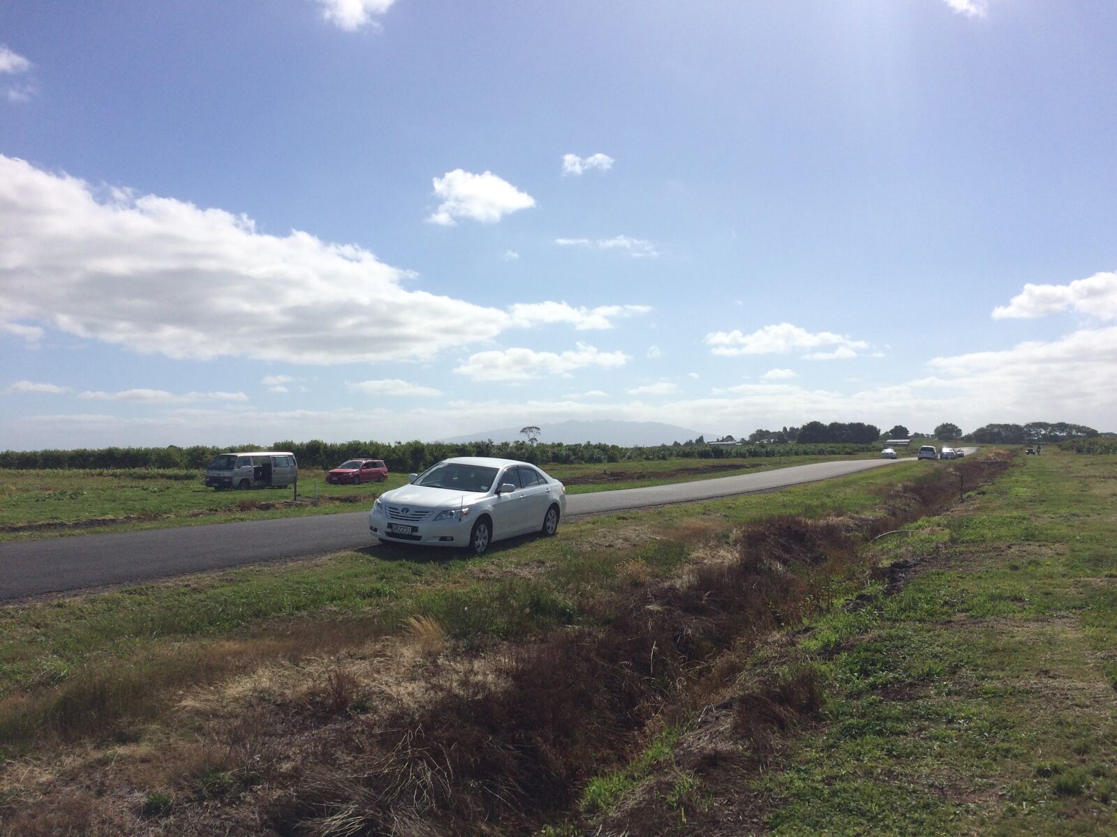 iPhone 5s back camera 4.15mm f/2.2 sample photo. New zealand, hamilton, blueberry photography
