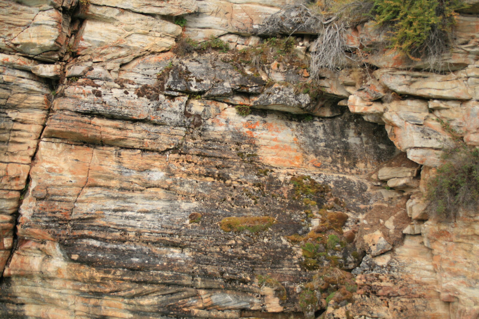 Canon EF-S 18-55mm F3.5-5.6 II sample photo. Layers, rock, face, texture photography