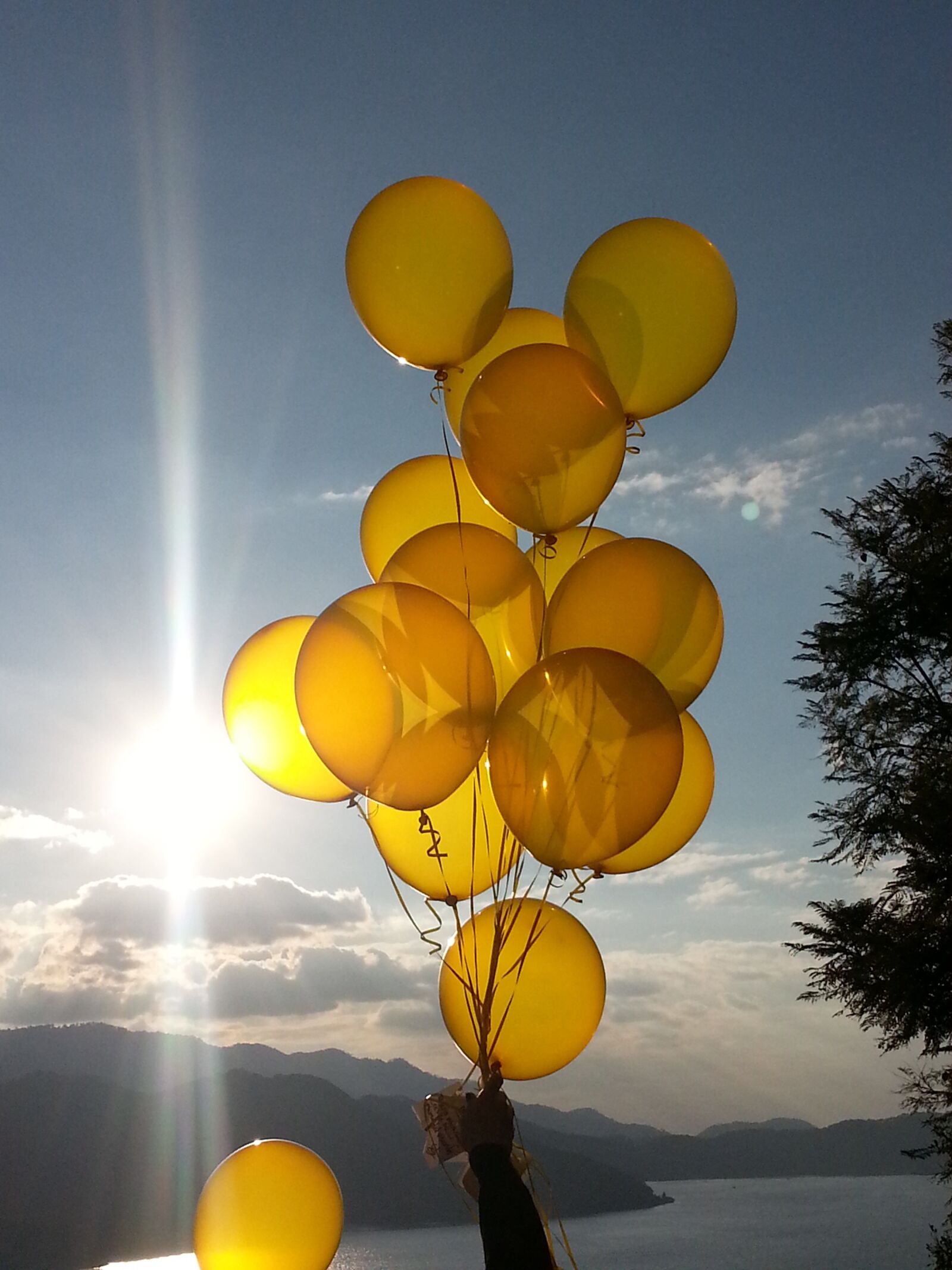 Samsung Galaxy Note2 sample photo. Yellow, balloon, sun photography