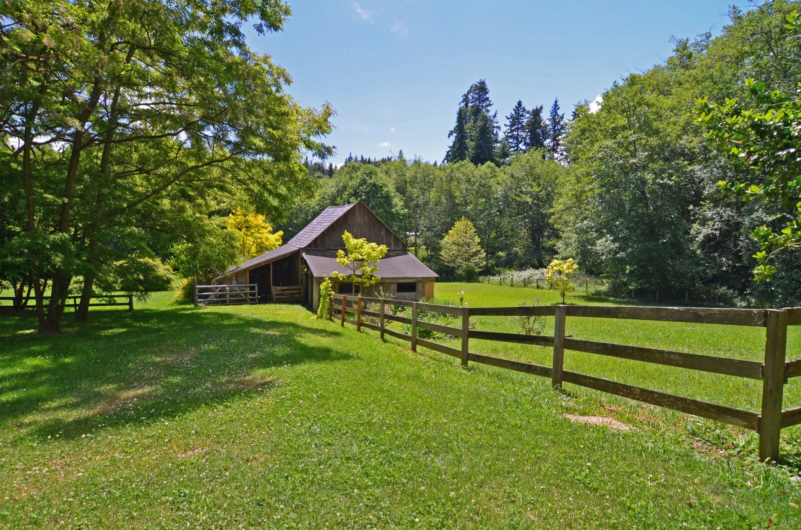 Nikon D7000 sample photo. Barn, rural, horses photography