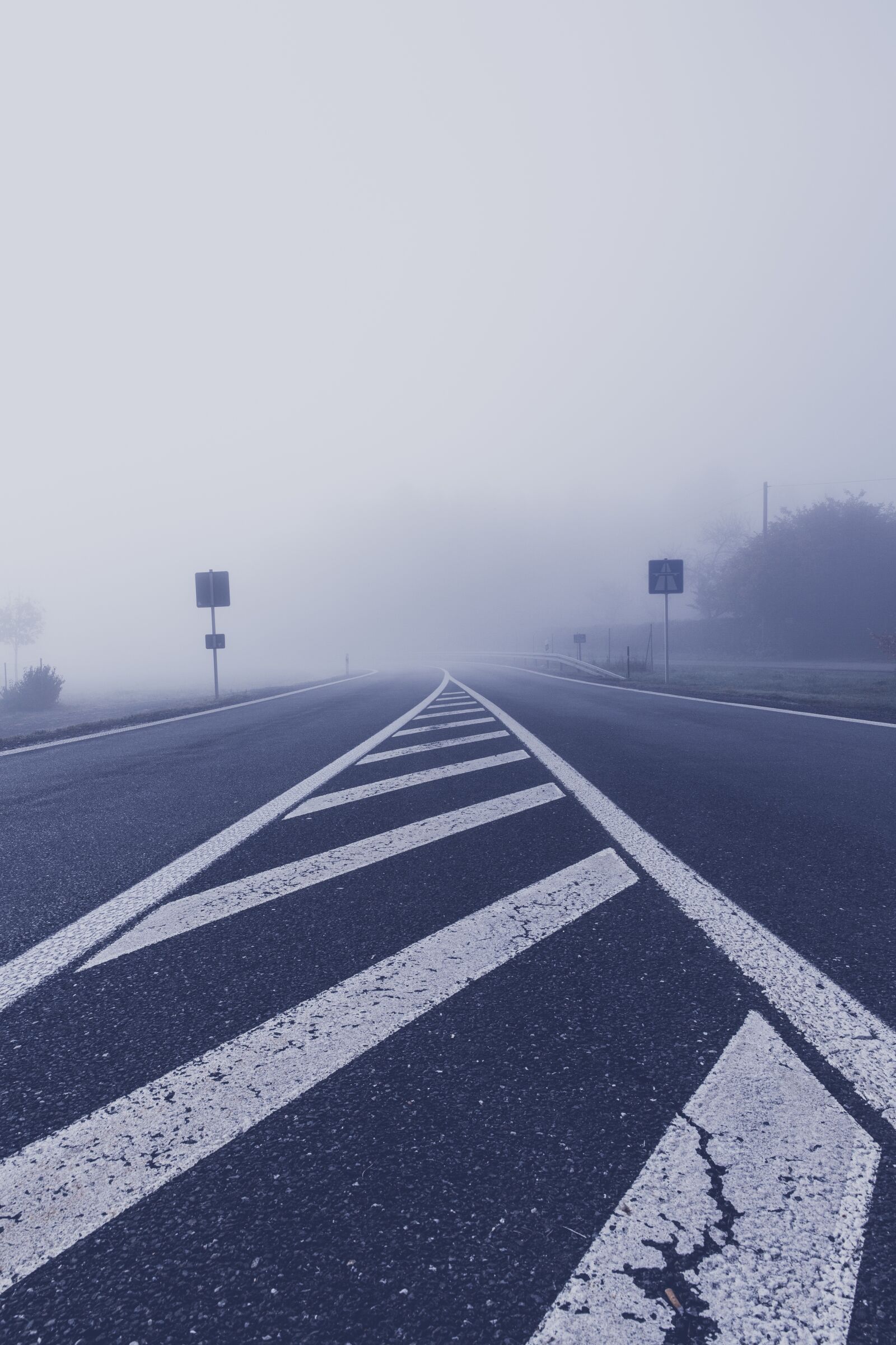 Canon EF 24-70mm F2.8L II USM sample photo. Fog, road, highway photography
