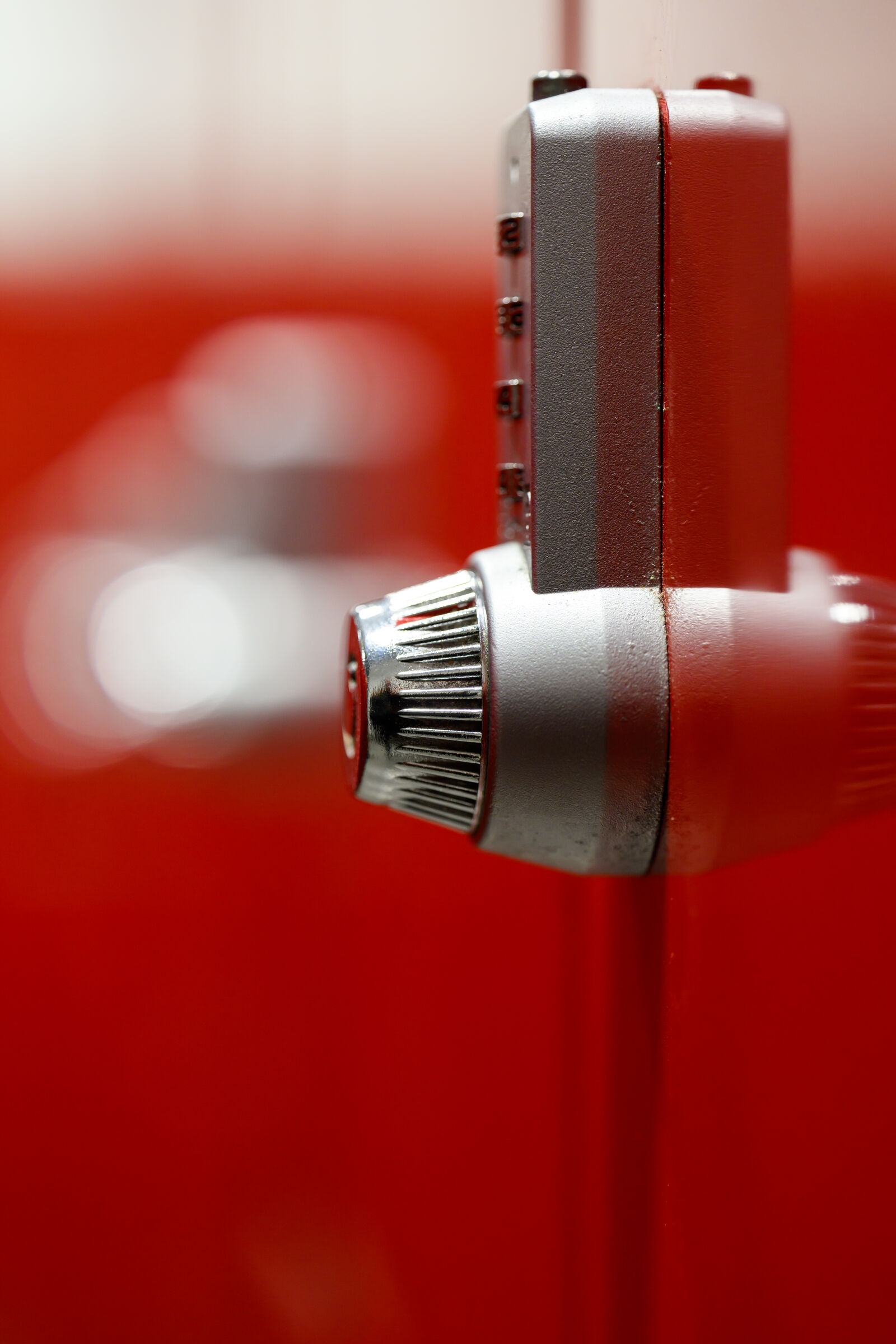 Nikon Z8 sample photo. Lock for detail photography