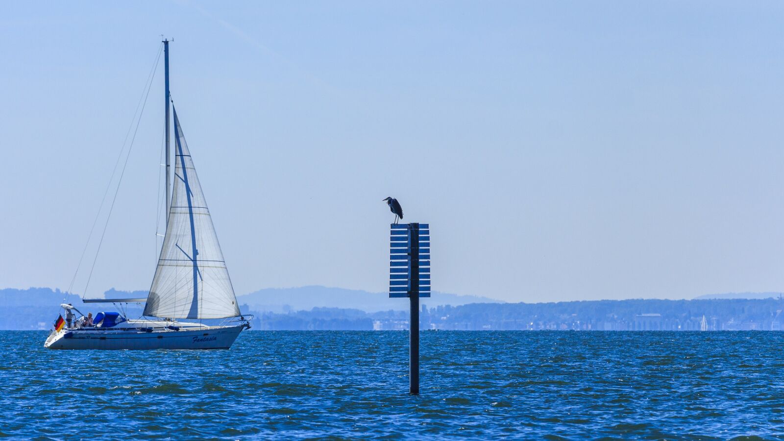 Canon EOS 650D (EOS Rebel T4i / EOS Kiss X6i) sample photo. Lake constance, gulls, on photography
