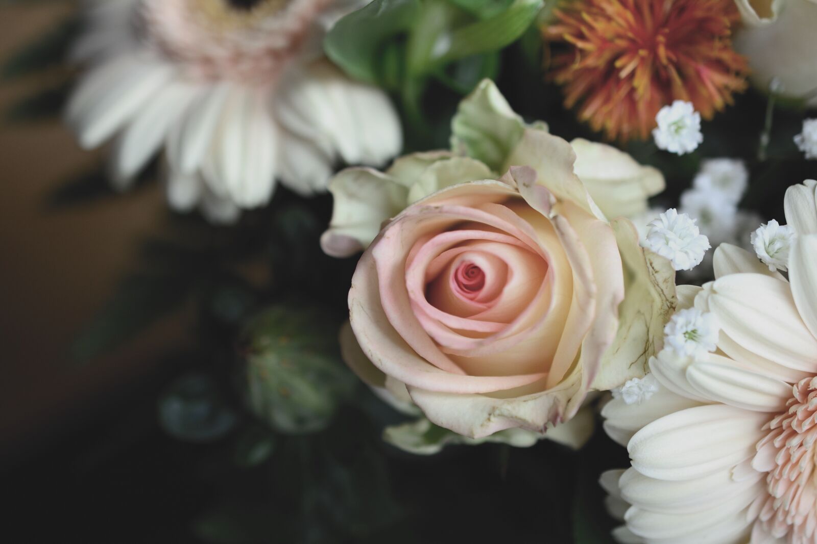Nikon D5200 sample photo. Bouquet, flowers, roses photography