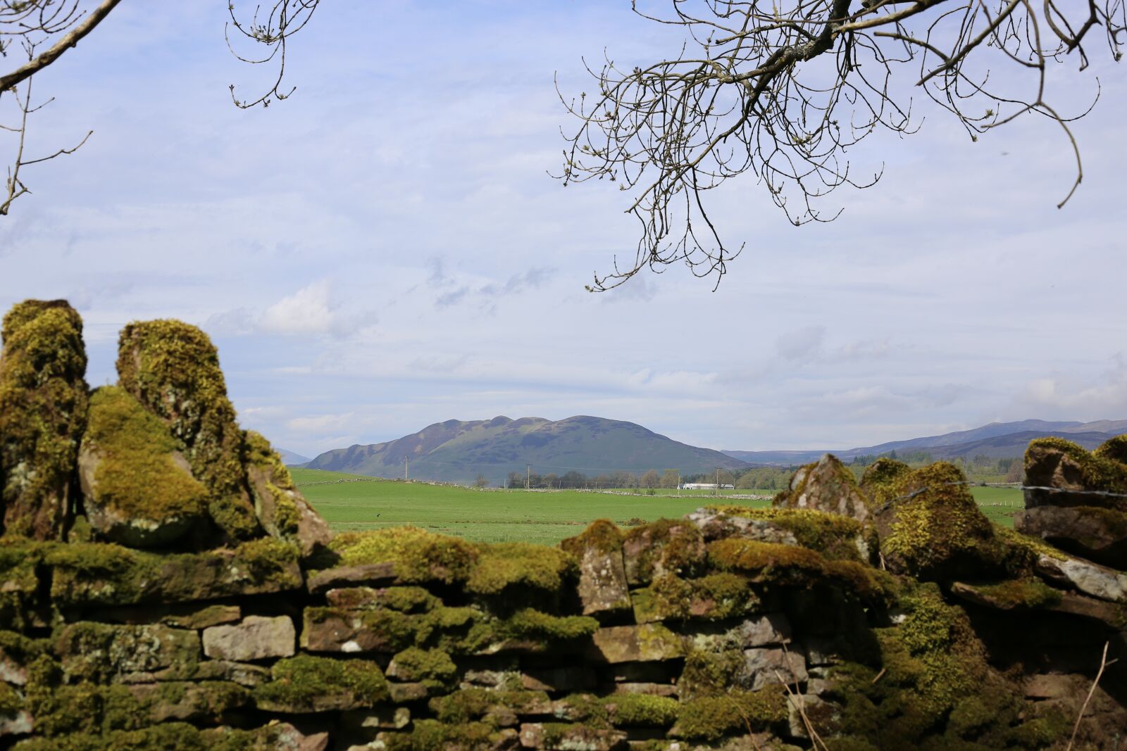 Canon EF 50mm F1.8 STM sample photo. Scenery, hill, landscape photography
