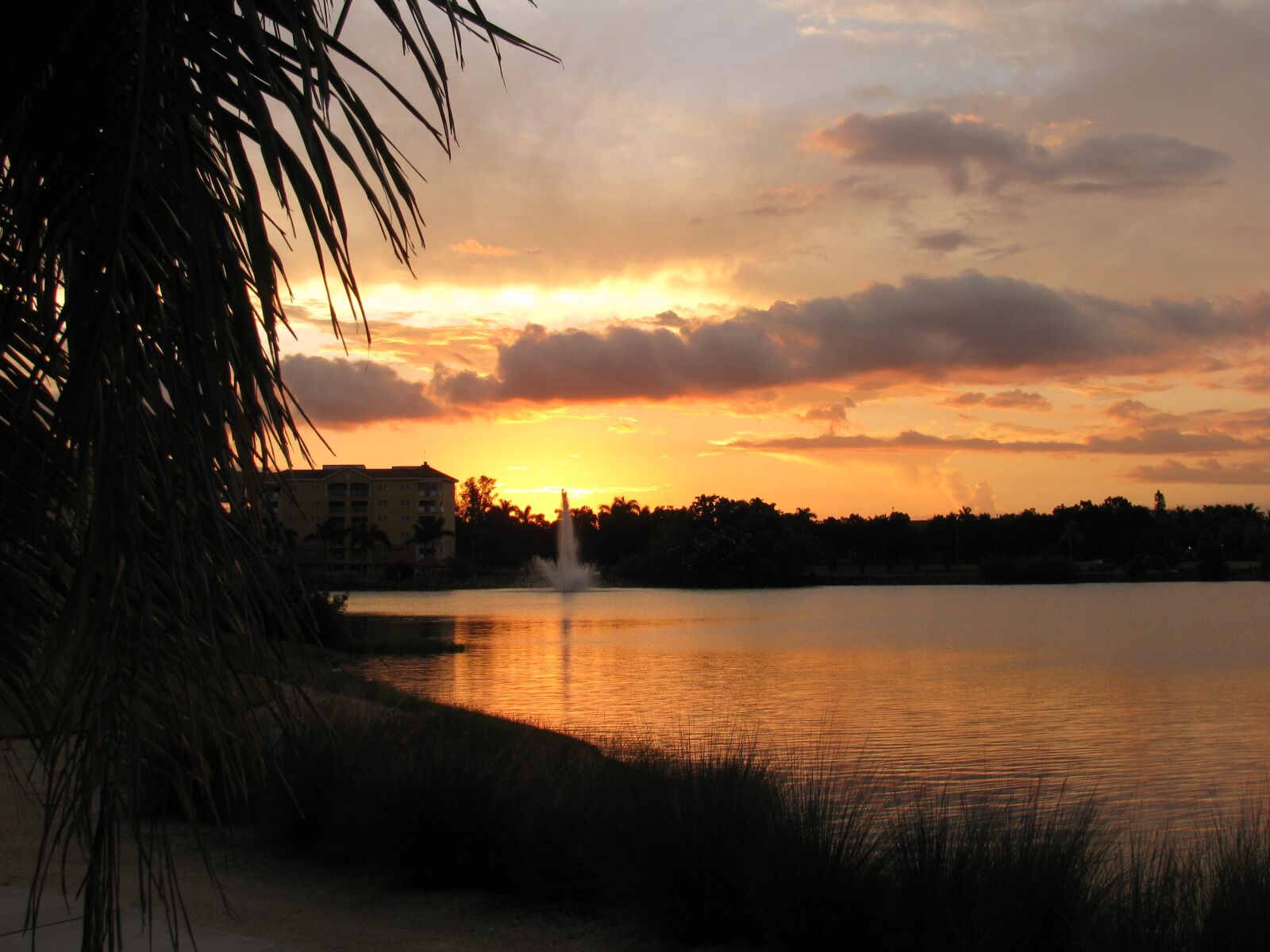 Canon PowerShot SX110 IS sample photo. "Sunset, dusk, nature" photography