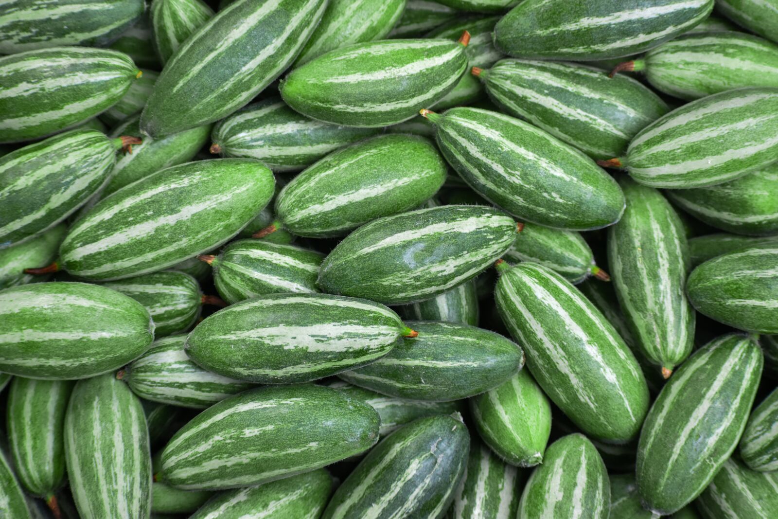 Nikon D3500 sample photo. Fresh, plant, food photography