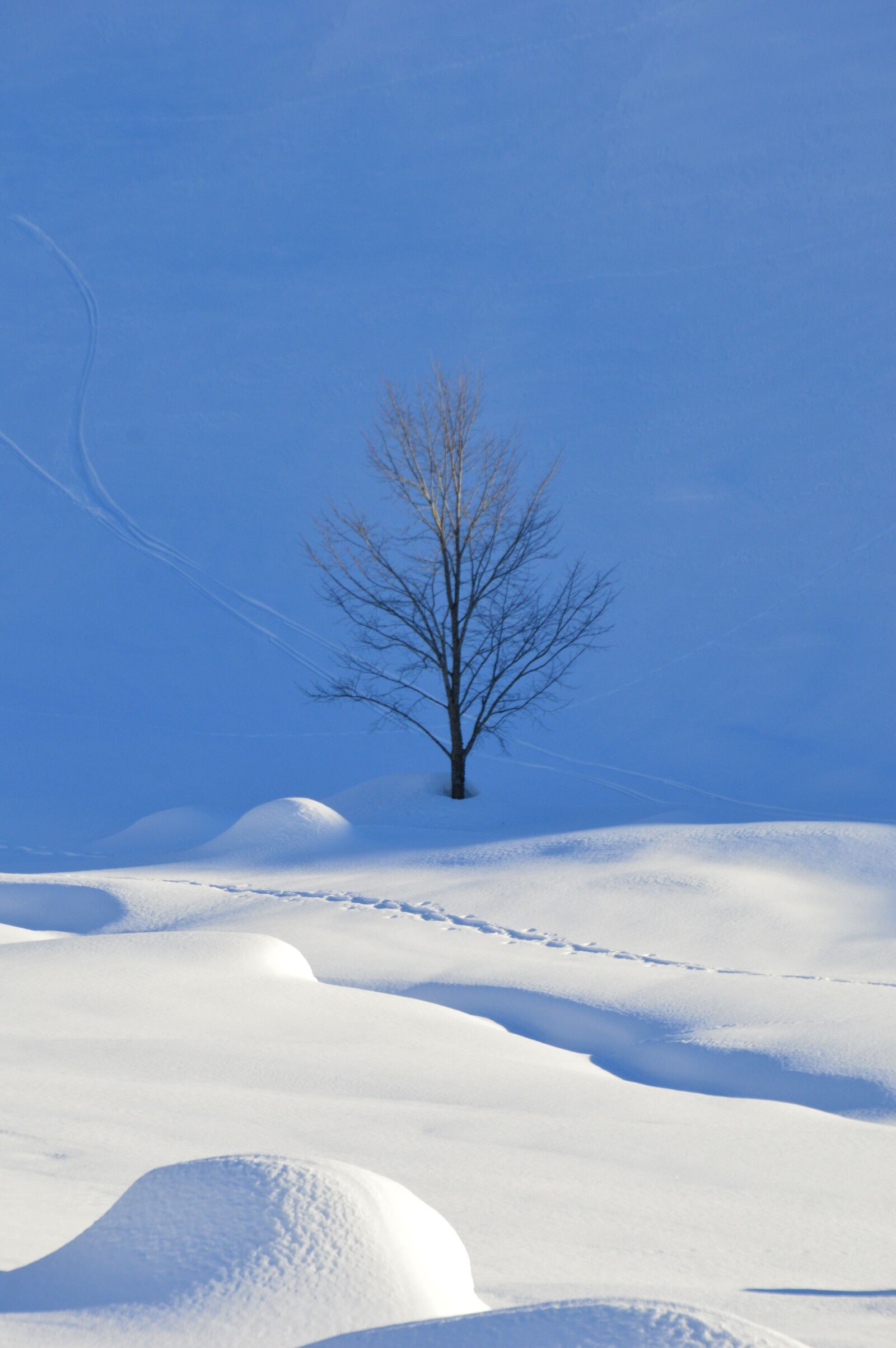Nikon D3200 sample photo. Winter, snow, cold photography