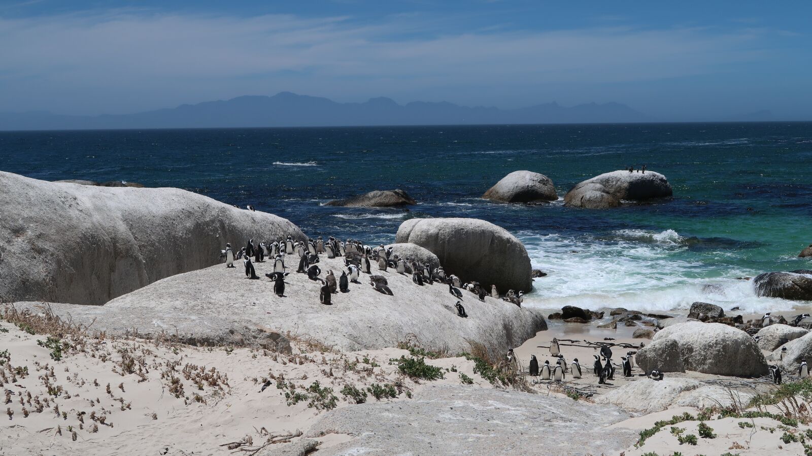 Canon PowerShot G7 X Mark II sample photo. Boulders beach, cape town photography