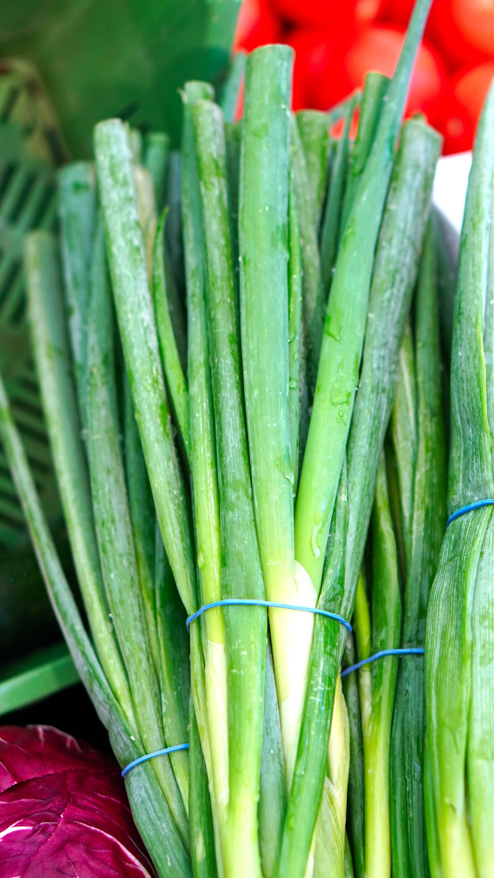 E 50mm F1.8 OSS sample photo. Leek, vegetables, fresh photography