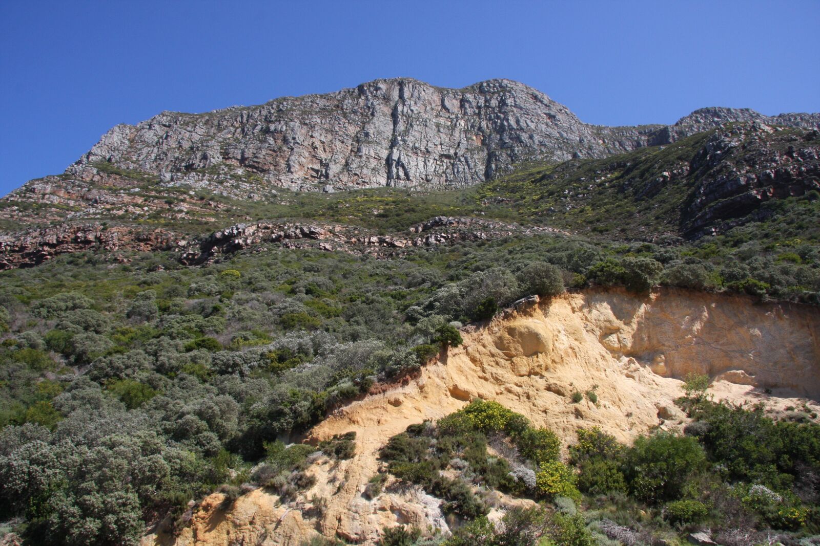 Canon EOS 40D sample photo. South africa, cape town photography
