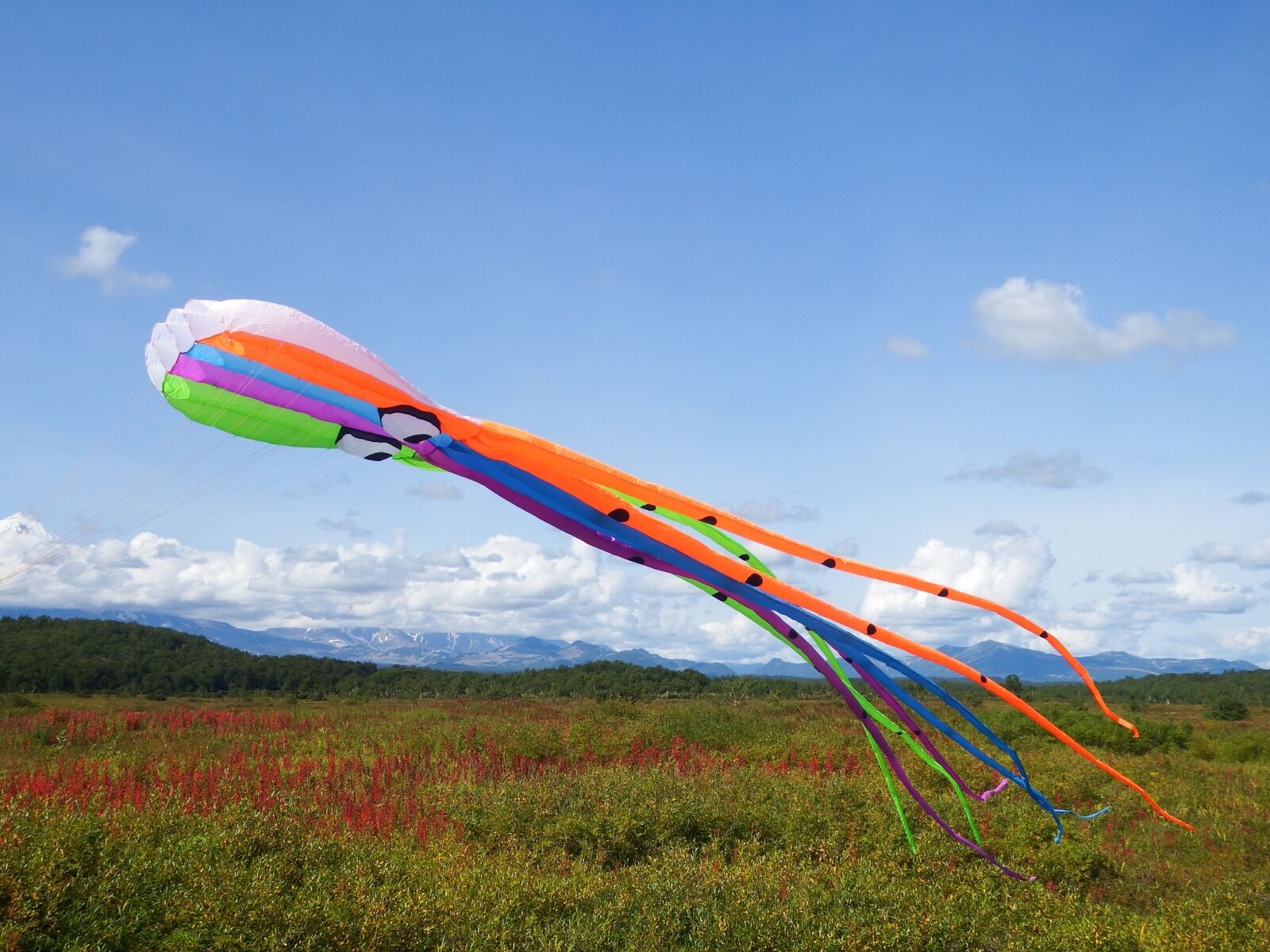 Fujifilm FinePix S1 sample photo. Kite, octopus, sky photography
