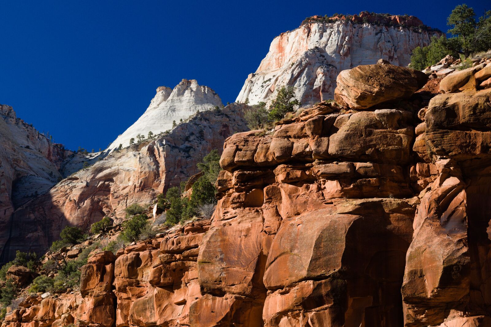 Sony DT 18-135mm F3.5-5.6 SAM sample photo. Mountains, zion, landscape photography
