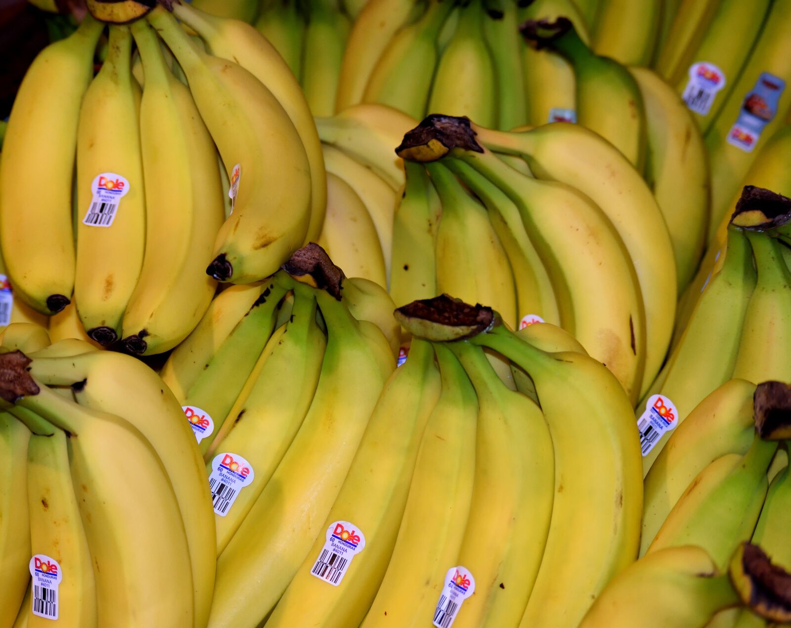 Nikon D3300 sample photo. Bananas, fruit, for sale photography