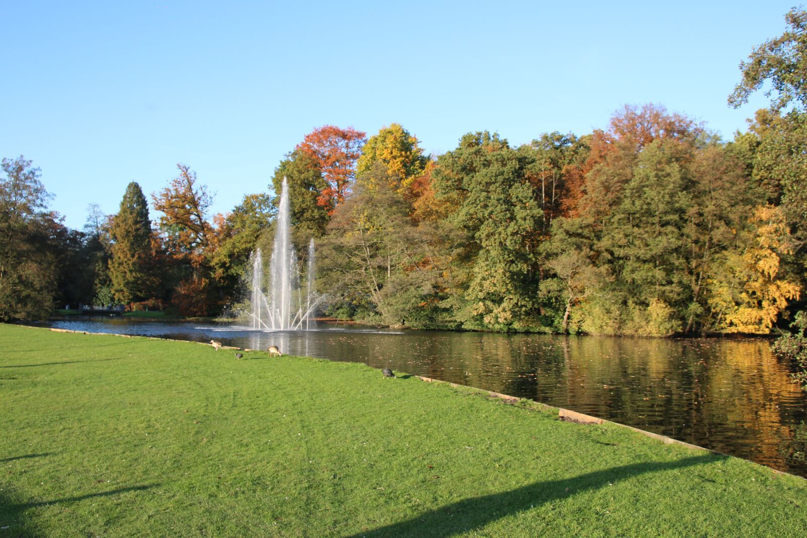 Canon EOS 70D sample photo. Grass, trees, nature photography
