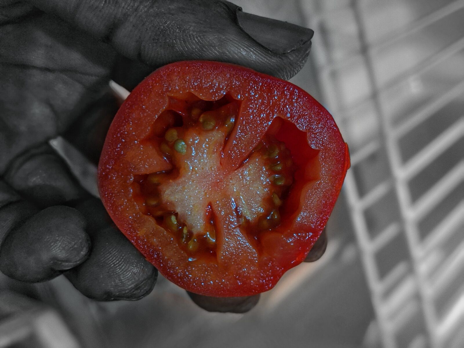 Google Pixel 3 sample photo. Tomato, hand, hold photography