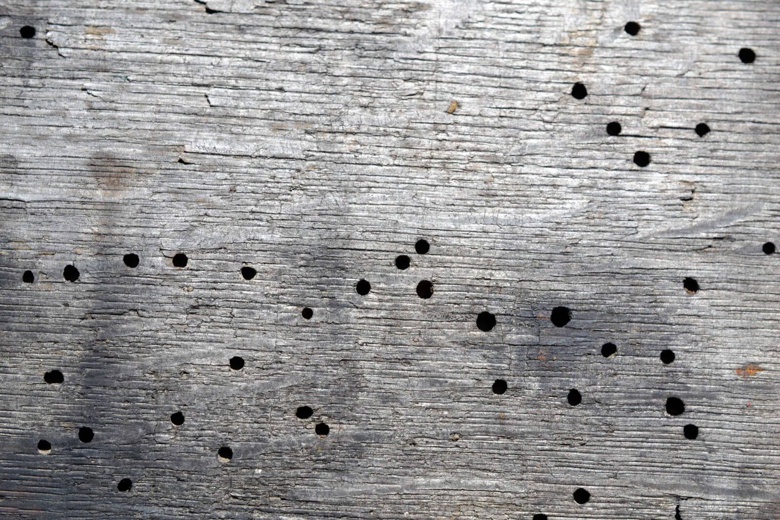 Nikon AF-S DX Micro Nikkor 40mm F2.8 sample photo. Texture, pattern, retro, old photography