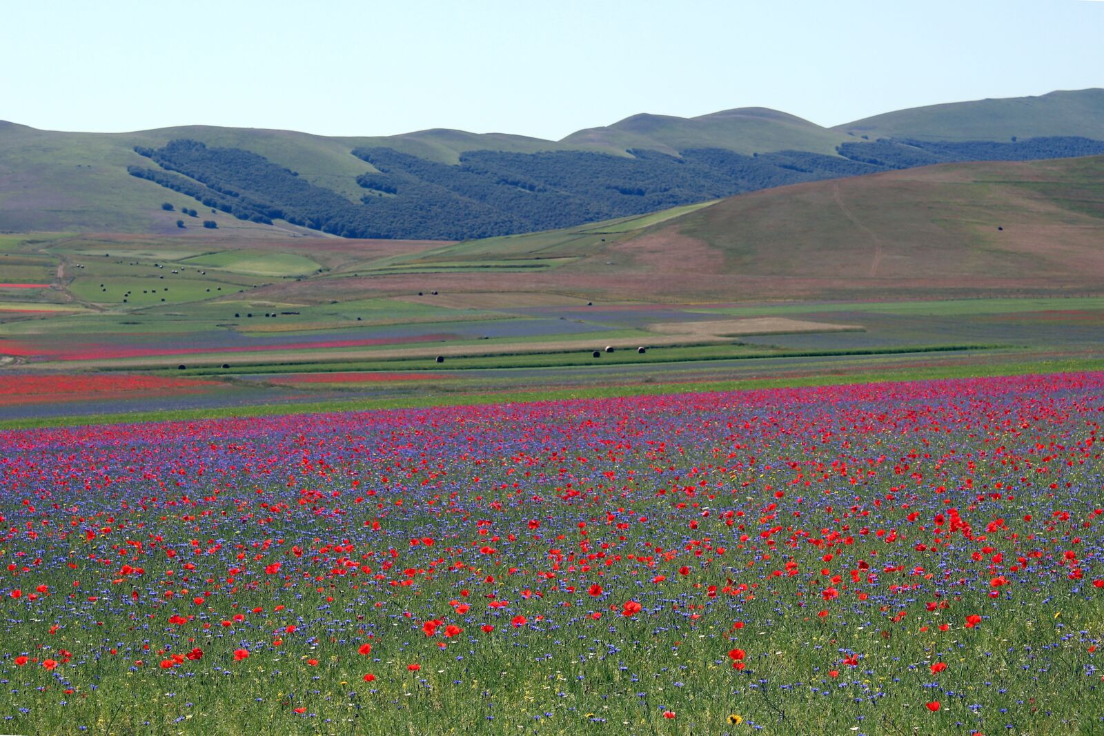 Canon EOS 1200D (EOS Rebel T5 / EOS Kiss X70 / EOS Hi) sample photo. Umbria, castelluccio, of photography