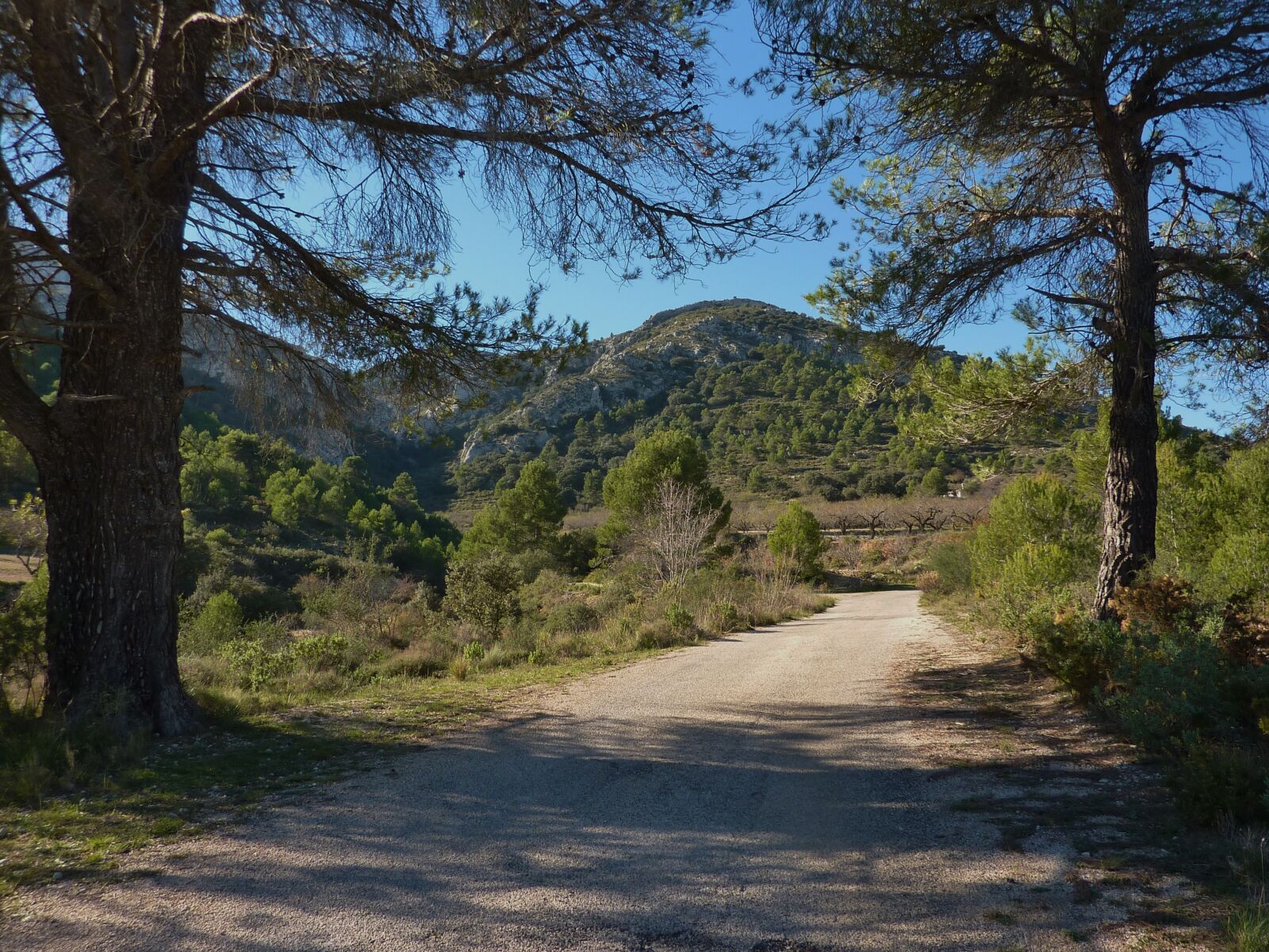 Panasonic Lumix DMC-ZS1 (Lumix DMC-TZ6) sample photo. Road, track, spain photography