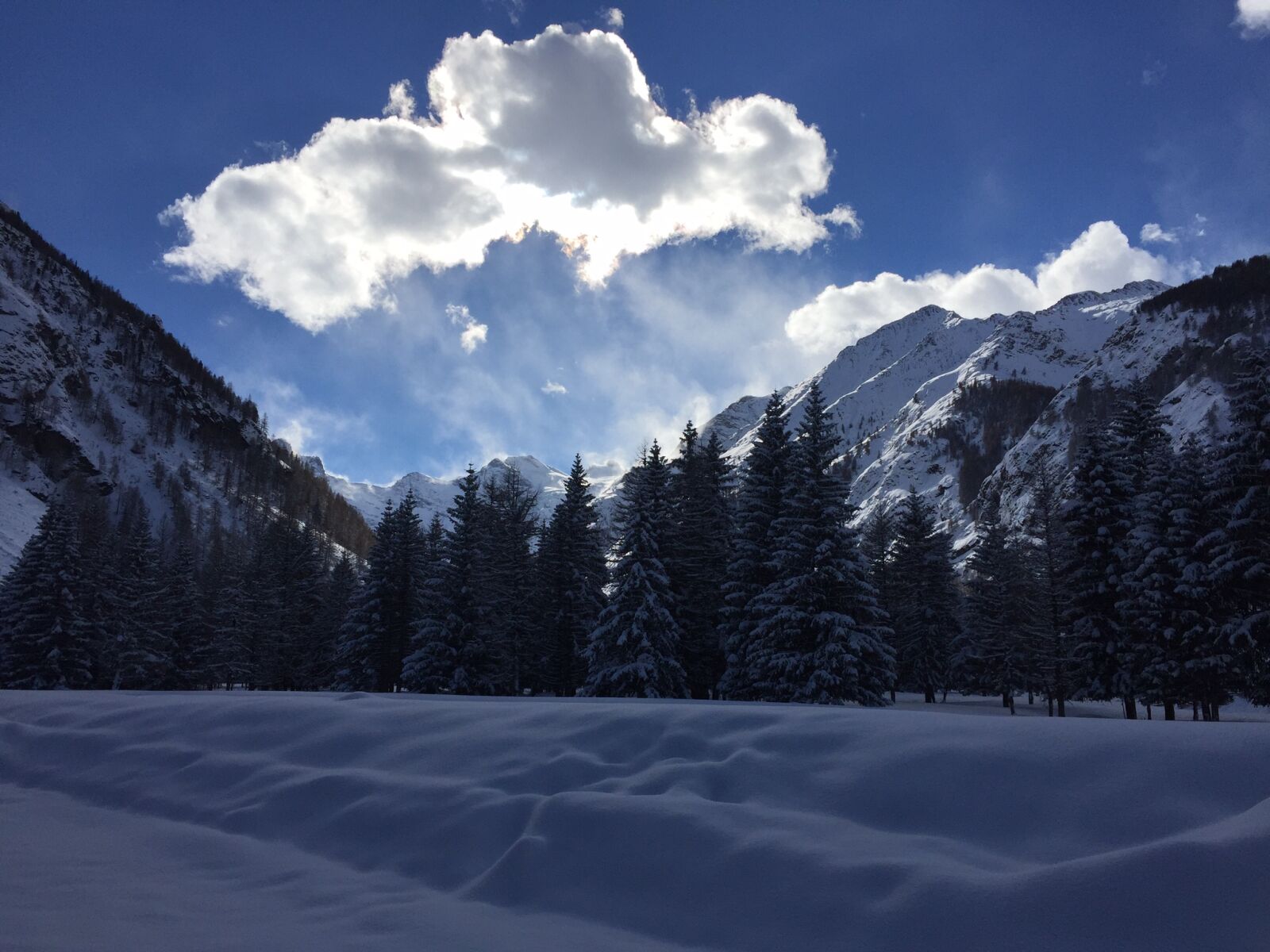 Apple iPhone 6 sample photo. Cogne photography