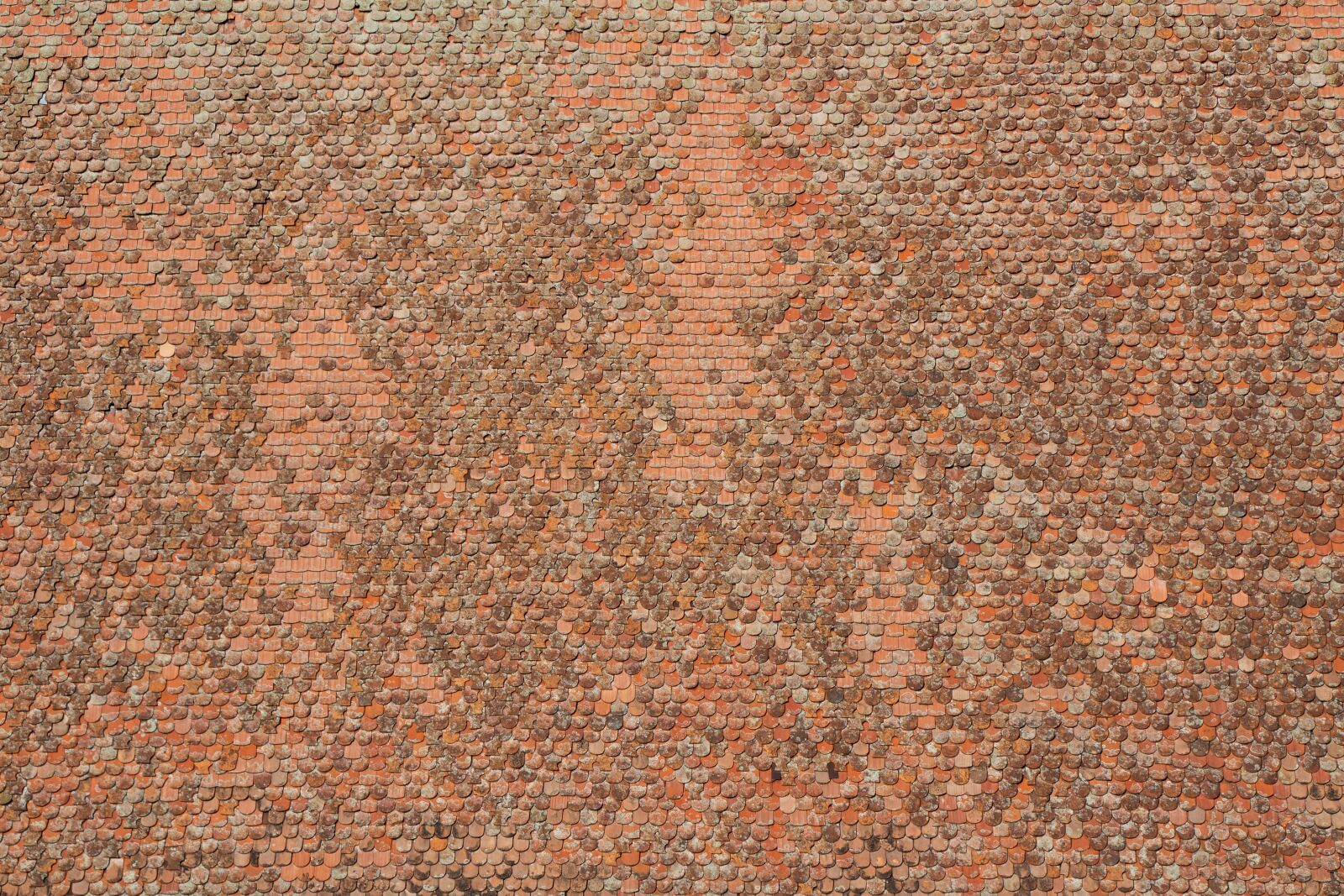 Canon EOS 100D (EOS Rebel SL1 / EOS Kiss X7) sample photo. Tiled roof, tile, roof photography