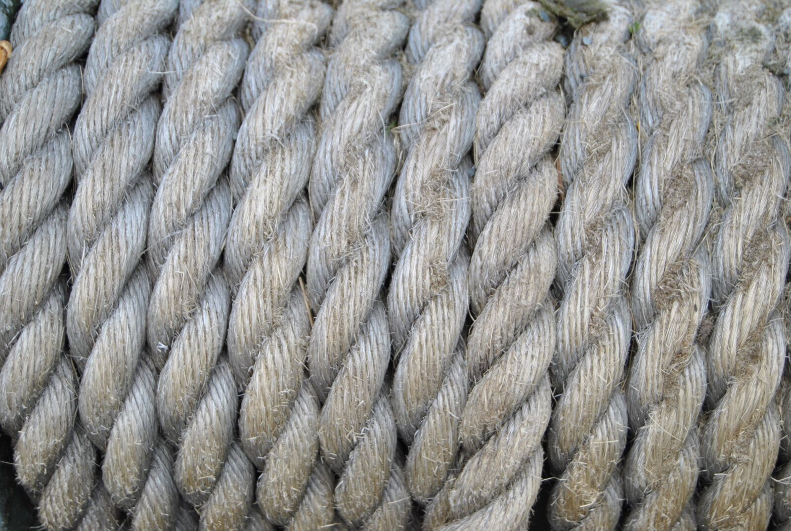 Nikon D3000 sample photo. Rope, winch, boat photography